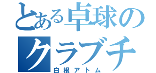 とある卓球のクラブチーム（白根アトム）