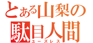 とある山梨の駄目人間（ユーズレス）