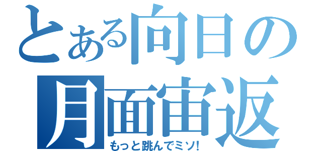 とある向日の月面宙返り（もっと跳んでミソ！）