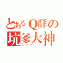 とあるＱ群の坑爹大神（ＷＴＦ ！）