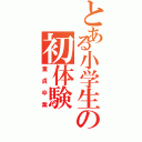 とある小学生の初体験（童貞卒業）