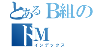 とあるＢ組のドＭ（インデックス）