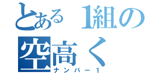 とある１組の空高く（ナンバー１）