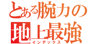 とある腕力の地上最強の生物（インデックス）