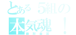 とある５組の本気魂！（絶対金賞）