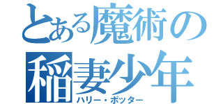 とある魔術の稲妻少年（ハリー・ポッター）