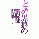 とある黒狼の奴隷（ペット）