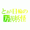 とある日輪の万花妖怪（風見幽香）