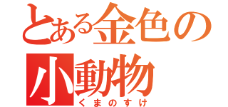 とある金色の小動物（くまのすけ）