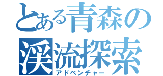 とある青森の渓流探索（アドベンチャー）