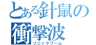 とある針鼠の衝撃波（ソニックブーム）