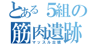 とある５組の筋肉遺跡（マッスル古墳）