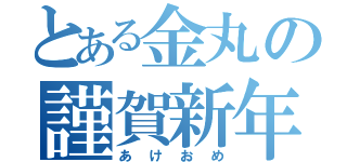 とある金丸の謹賀新年（あけおめ）