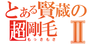 とある賢蔵の超剛毛Ⅱ（もっさもさ）