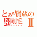 とある賢蔵の超剛毛Ⅱ（もっさもさ）