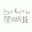 とあるもぐもぐの白猫店長（アンバー）