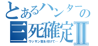 とあるハンターの三死確定Ⅱ（ウッサン気を付けて…）