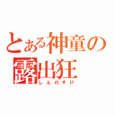 とある神童の露出狂（しんのすけ）