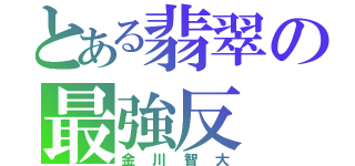 とある翡翠の最強反（金川智大）