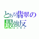 とある翡翠の最強反（金川智大）