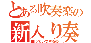 とある吹奏楽の新入り奏者（曲っていつやるの）