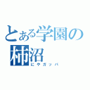 とある学園の柿沼（にやガッパ）