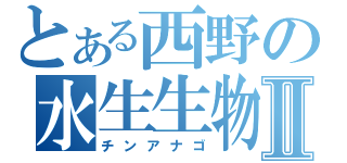 とある西野の水生生物Ⅱ（チンアナゴ）