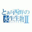 とある西野の水生生物Ⅱ（チンアナゴ）