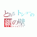 とあるトシコーの網の壁（アイホジョウ）