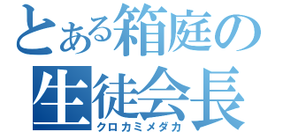 とある箱庭の生徒会長（クロカミメダカ）