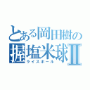 とある岡田樹の握塩米球Ⅱ（ライスボール）