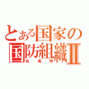 とある国家の国防組織Ⅱ（自衛隊）