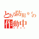 とある防犯カメラの作動中（Ｏ Ｒ Ｅ Ｃ）