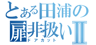 とある田浦の扉非扱いⅡ（ドアカット）