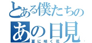 とある僕たちのあの日見た花の名前をまだ知らない（夏に咲く花）