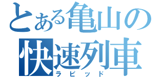 とある亀山の快速列車（ラピッド）