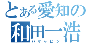 とある愛知の和田一浩（ハゲャビン）