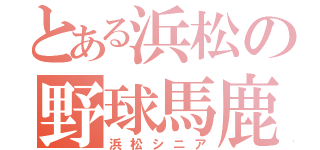 とある浜松の野球馬鹿（浜松シニア）