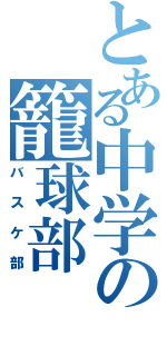 とある中学の籠球部（バスケ部）