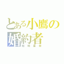 とある小鷹の婚約者（柏崎星奈）