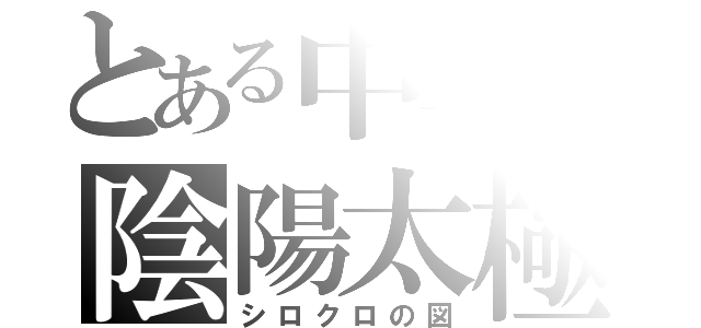 とある中華の陰陽太極（シロクロの図）