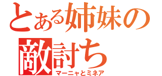 とある姉妹の敵討ち（マーニャとミネア）