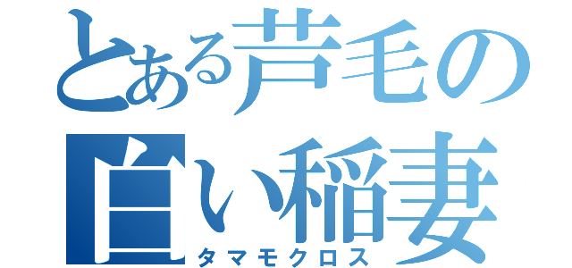 とある芦毛の白い稲妻（タマモクロス）