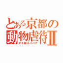 とある京都の動物虐待Ⅱ（犬を蹴るババア）