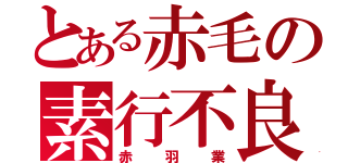 とある赤毛の素行不良（赤羽業）