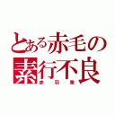 とある赤毛の素行不良（赤羽業）