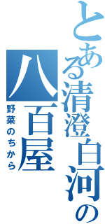 とある清澄白河の八百屋（野菜のちから）