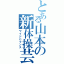 とある山本の新体操芸（ワイジバランス）