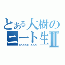 とある大樹のニート生活Ⅱ（あんただよ！あんた！）