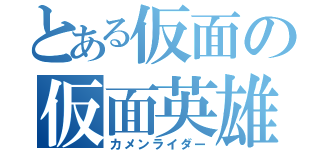 とある仮面の仮面英雄（カメンライダー）